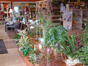 Fleuristerie, Nicolet